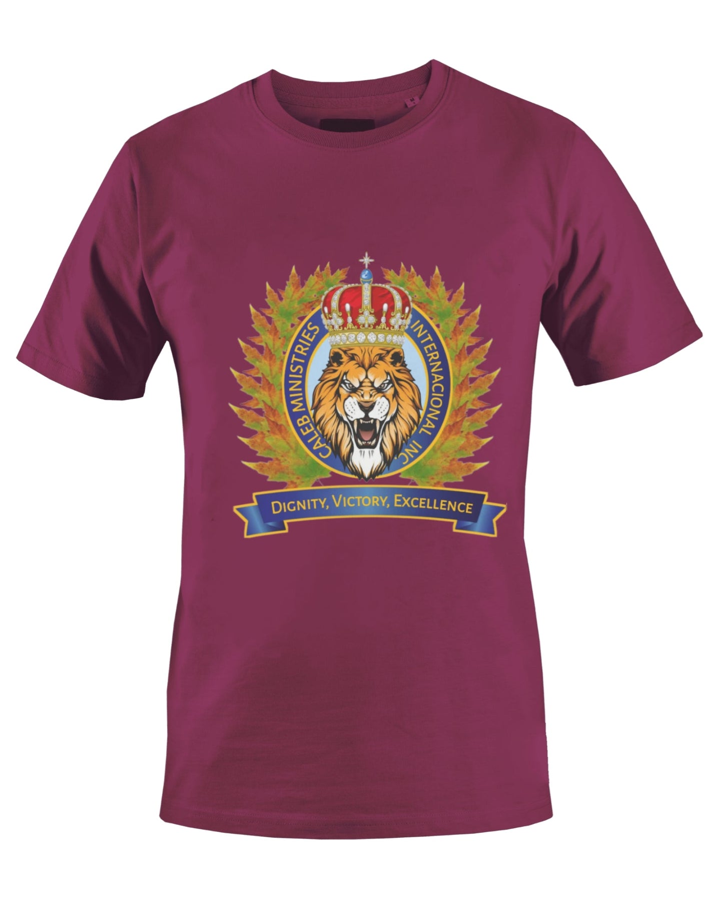 CALEB'S MINISTRIES INT'L INC T-SHIRT (BROWN) - BMS MANGOES MARKETPLACE