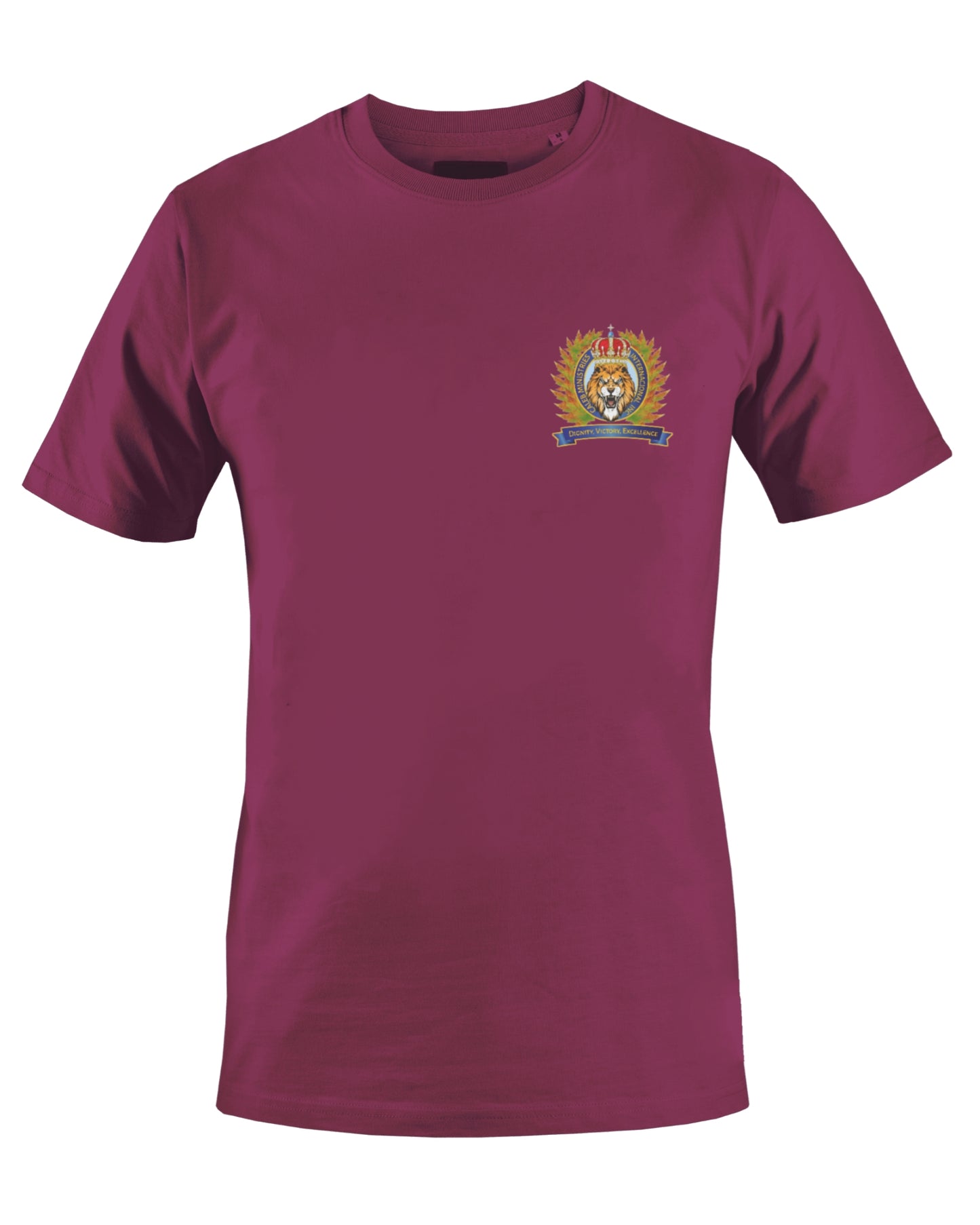 CALEB'S MINISTRIES INT'L INC T-SHIRT (BROWN) - BMS MANGOES MARKETPLACE