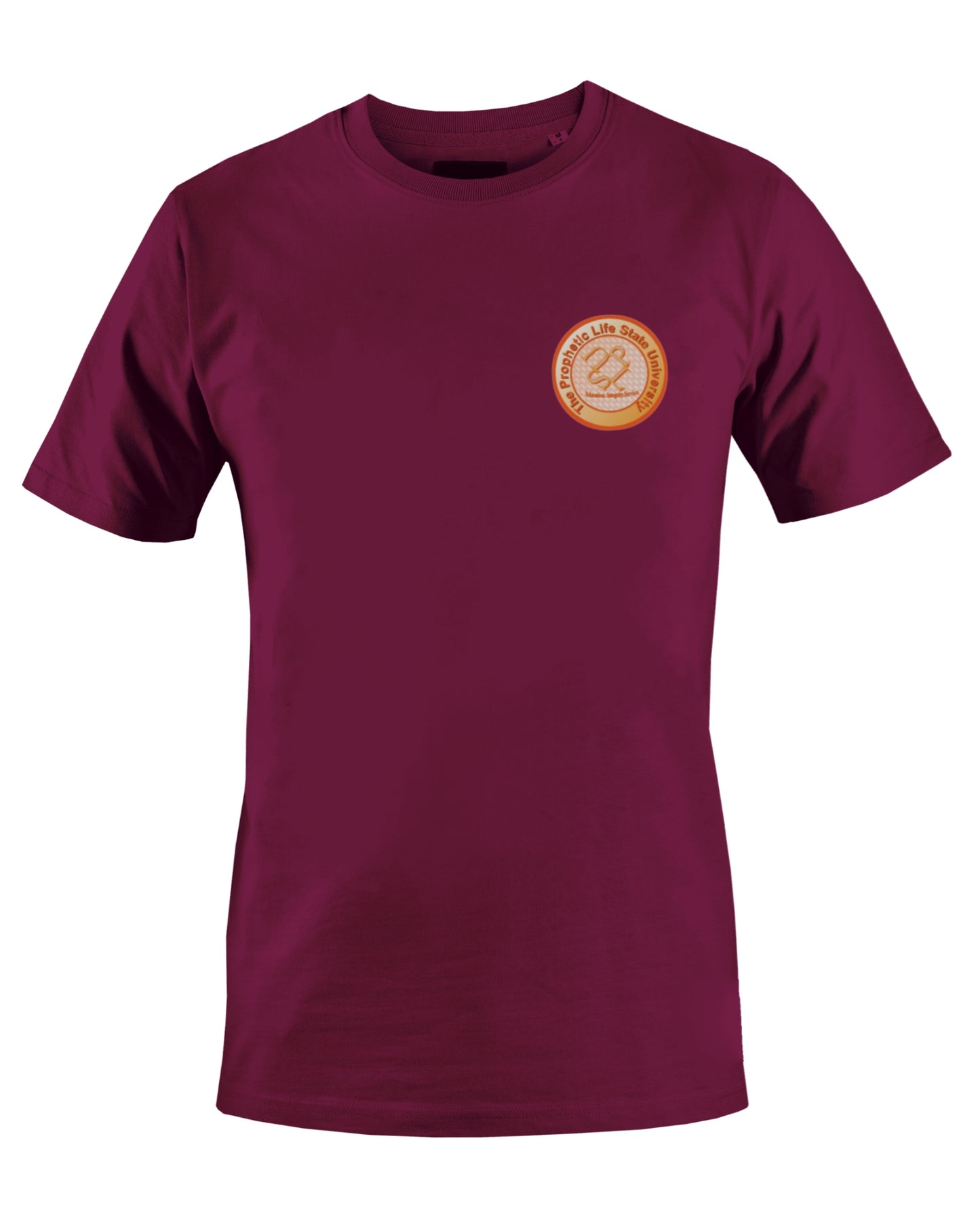PROPHETIC LIFE STATE UNIVERSITY T-SHIRT (BROWN) - BMS MANGOES MARKETPLACE