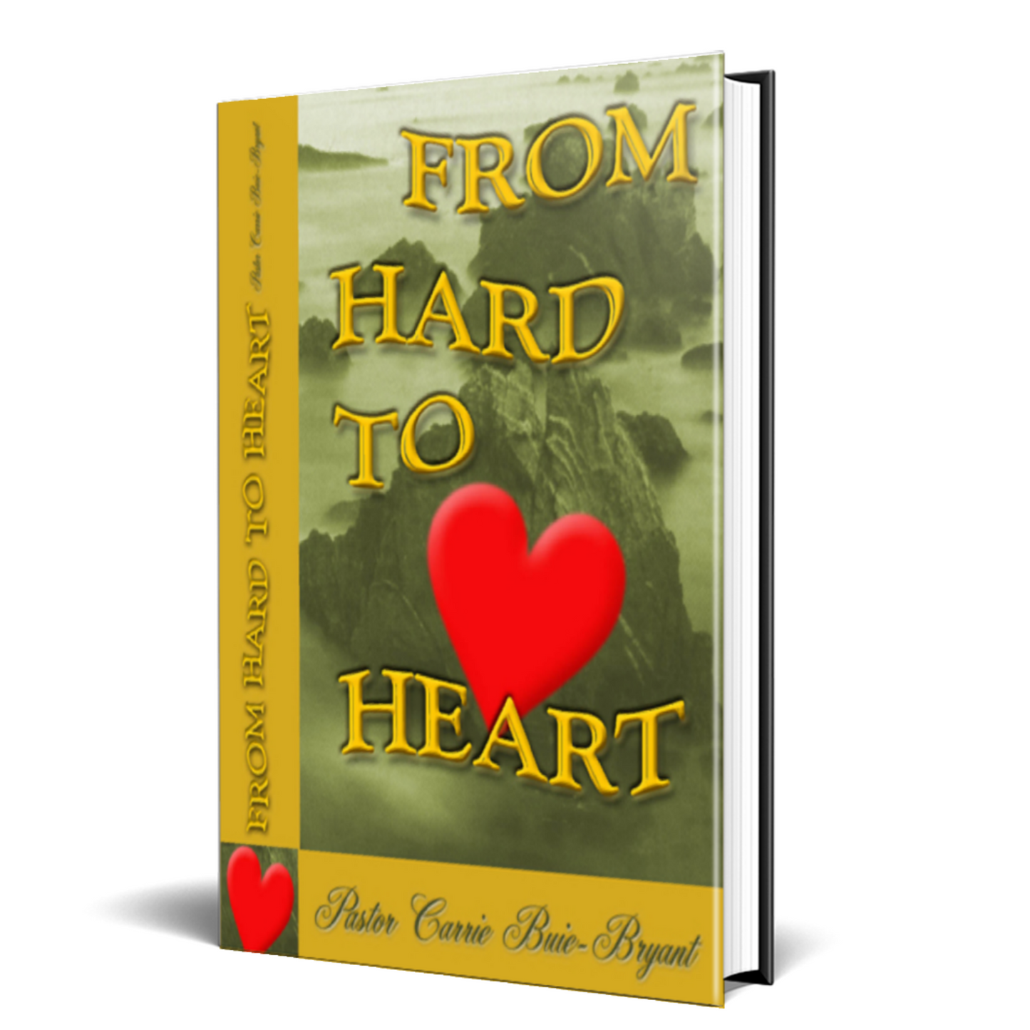 FROM HARD TO HEART - BMS MANGOES MARKETPLACE