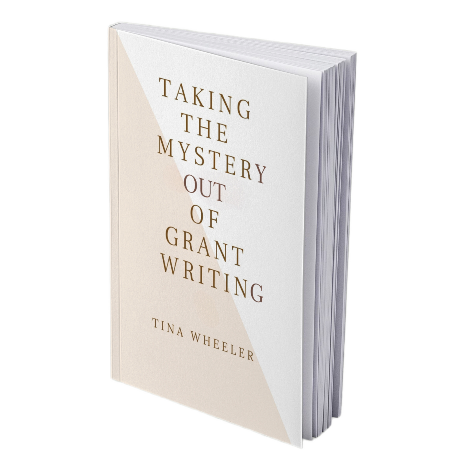 TAKING THE MYSTERY OUT OF GRANTWRITING - BMS MANGOES MARKETPLACE