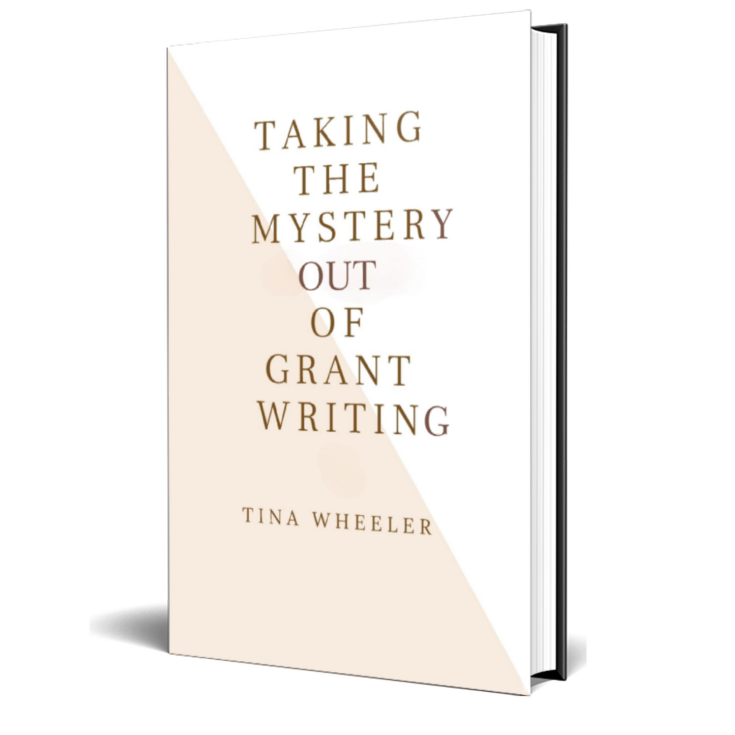 TAKING THE MYSTERY OUT OF GRANTWRITING - BMS MANGOES MARKETPLACE