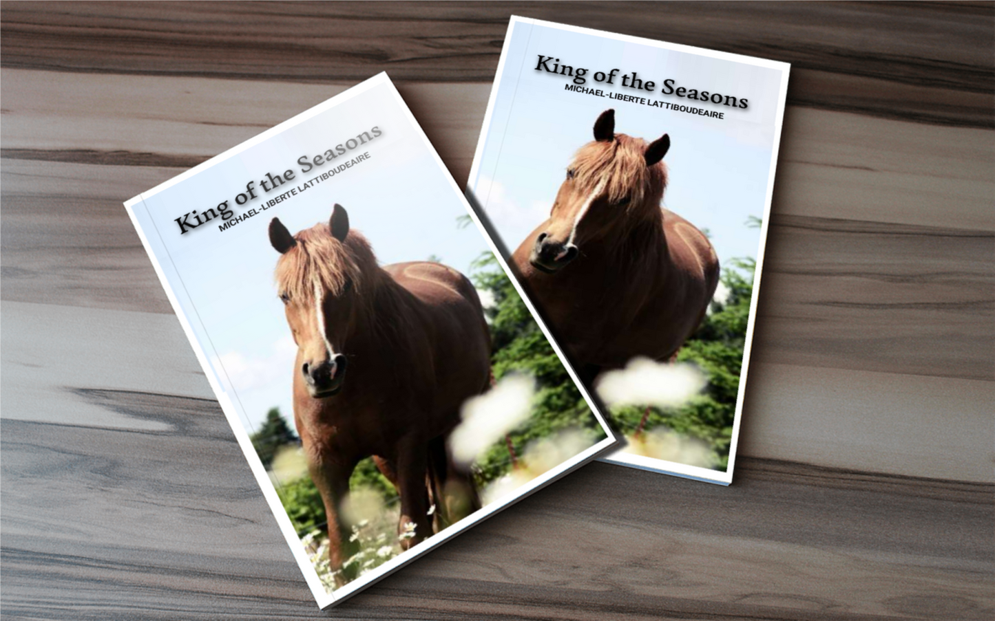 KINGS OF THE SEASONS - BMS MANGOES MARKETPLACE