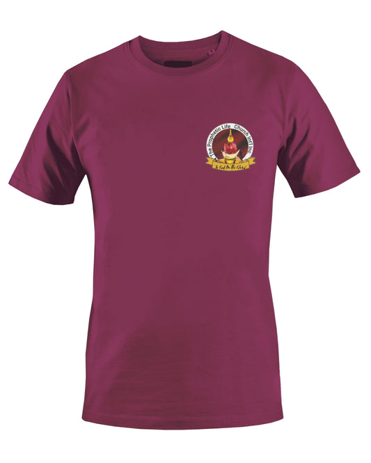 THE PROPHETIC LIFE CHURCH INT'L T-SHIRT (BROWN) - BMS MANGOES MARKETPLACE
