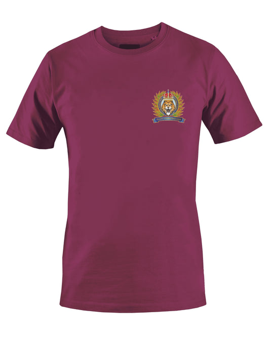 CALEB'S MINISTRIES INT'L INC T-SHIRT (BROWN) - BMS MANGOES MARKETPLACE