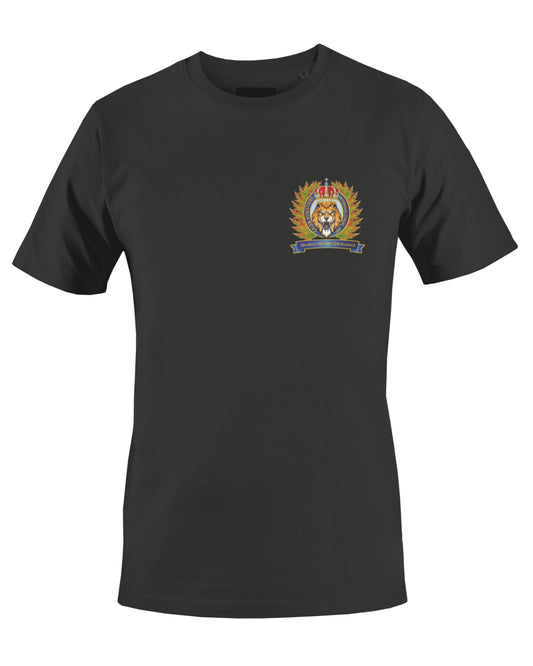 CALEB'S MINISTRIES INT'L INC T-SHIRT (BLACK) - BMS MANGOES MARKETPLACE