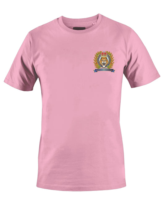 CALEB'S MINISTRIES INT'L INC T-SHIRT (PINK) - BMS MANGOES MARKETPLACE