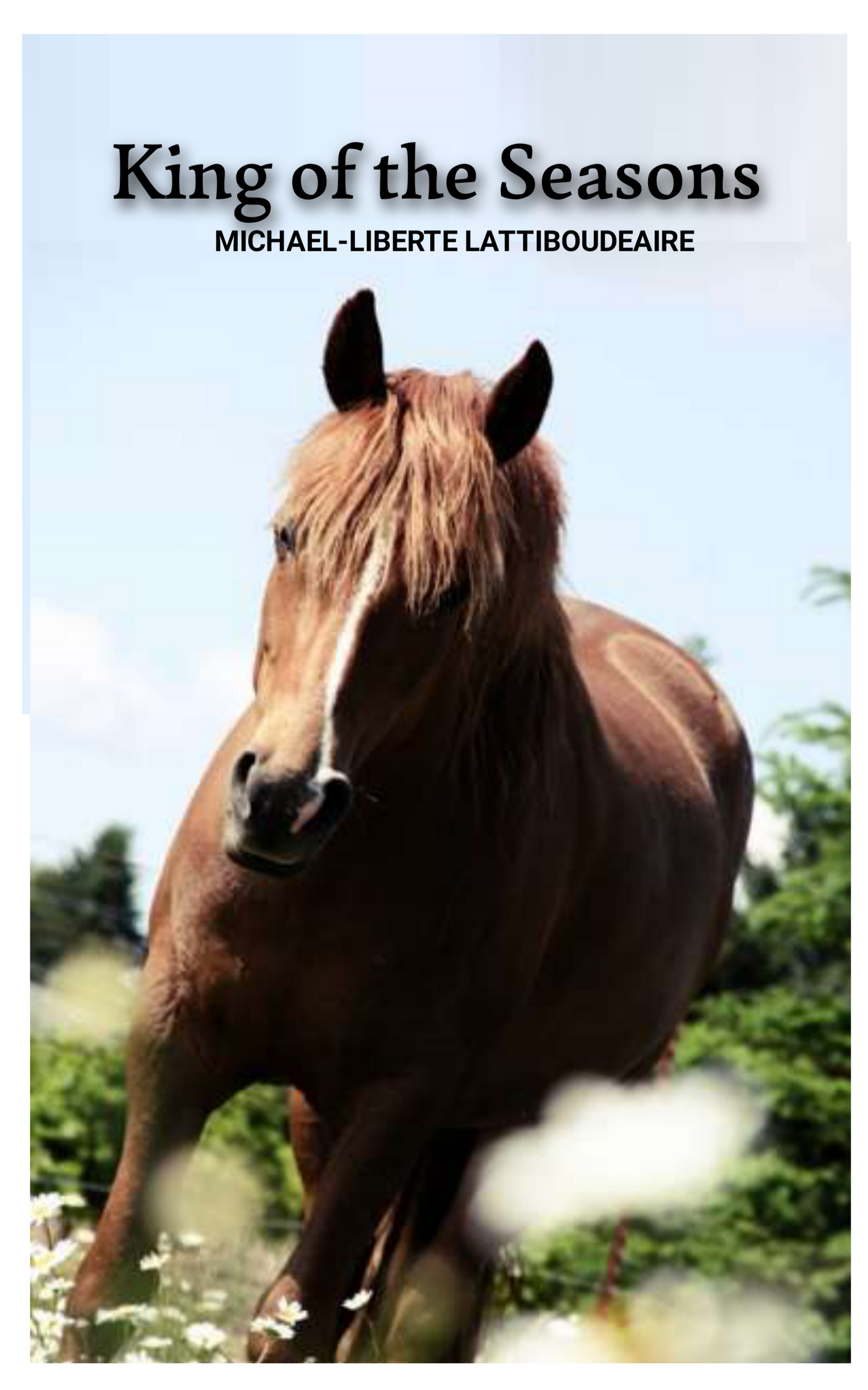 KINGS OF THE SEASONS - BMS MANGOES MARKETPLACE