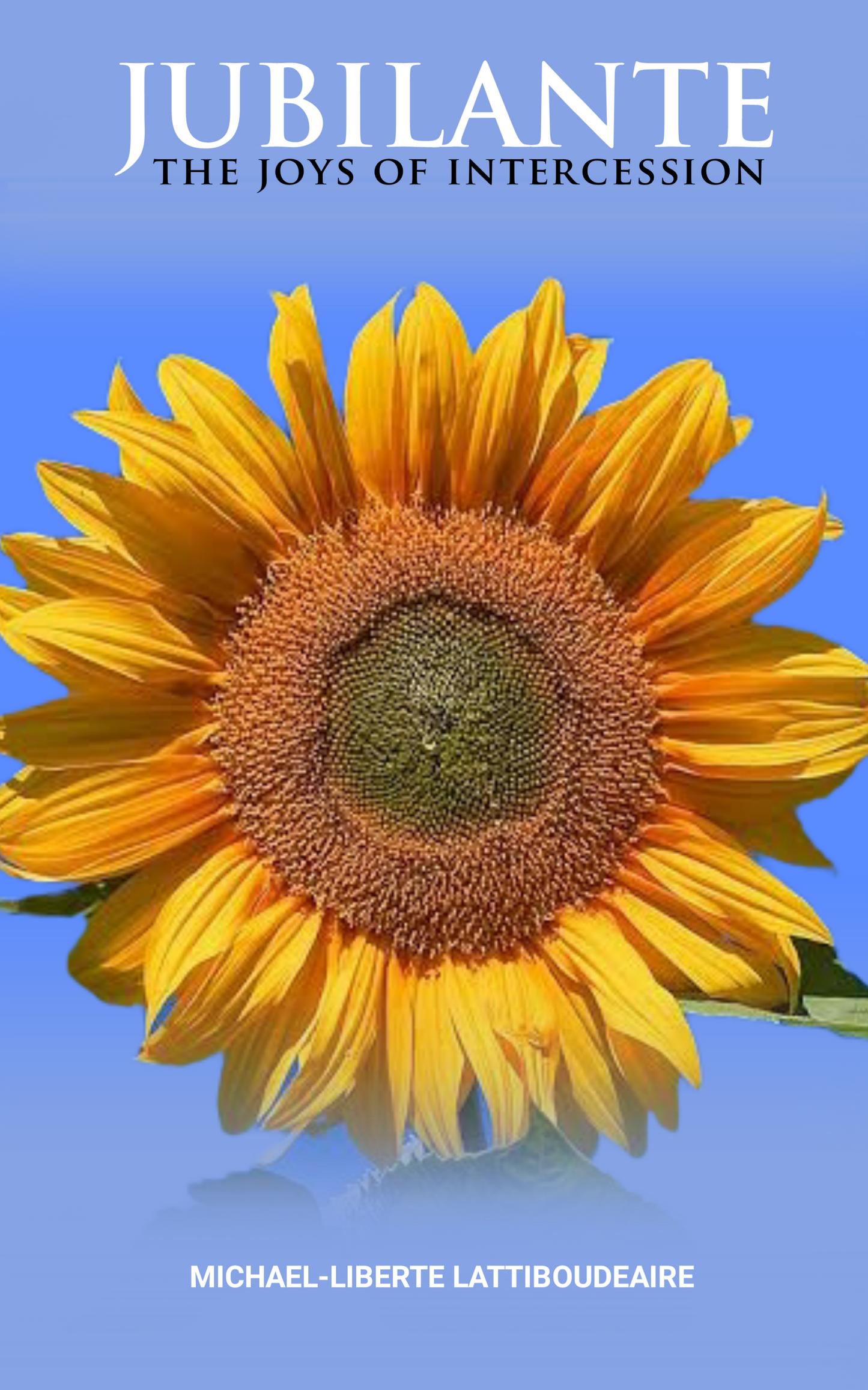 Jubilante: The Joys of Intercession - BMS MANGOES MARKETPLACE