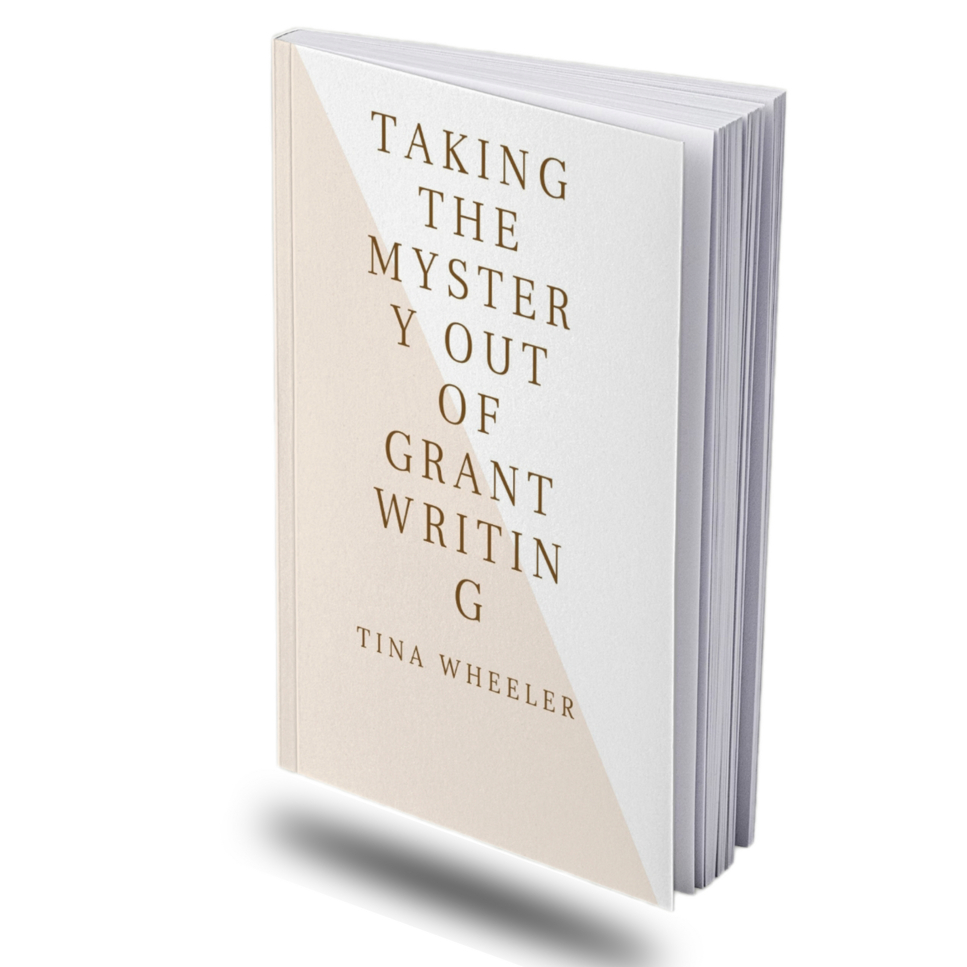 TAKING THE MYSTERY OUT OF GRANTWRITING - BMS MANGOES MARKETPLACE