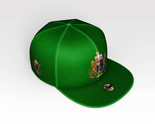 THE HPN TV NETWORK CAP (GREEN) - BMS MANGOES MARKETPLACE