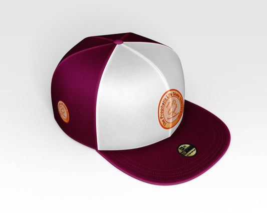 THE PROPHETIC LIFE STATE UNIVERSITY CAP (BROWN) - BMS MANGOES MARKETPLACE