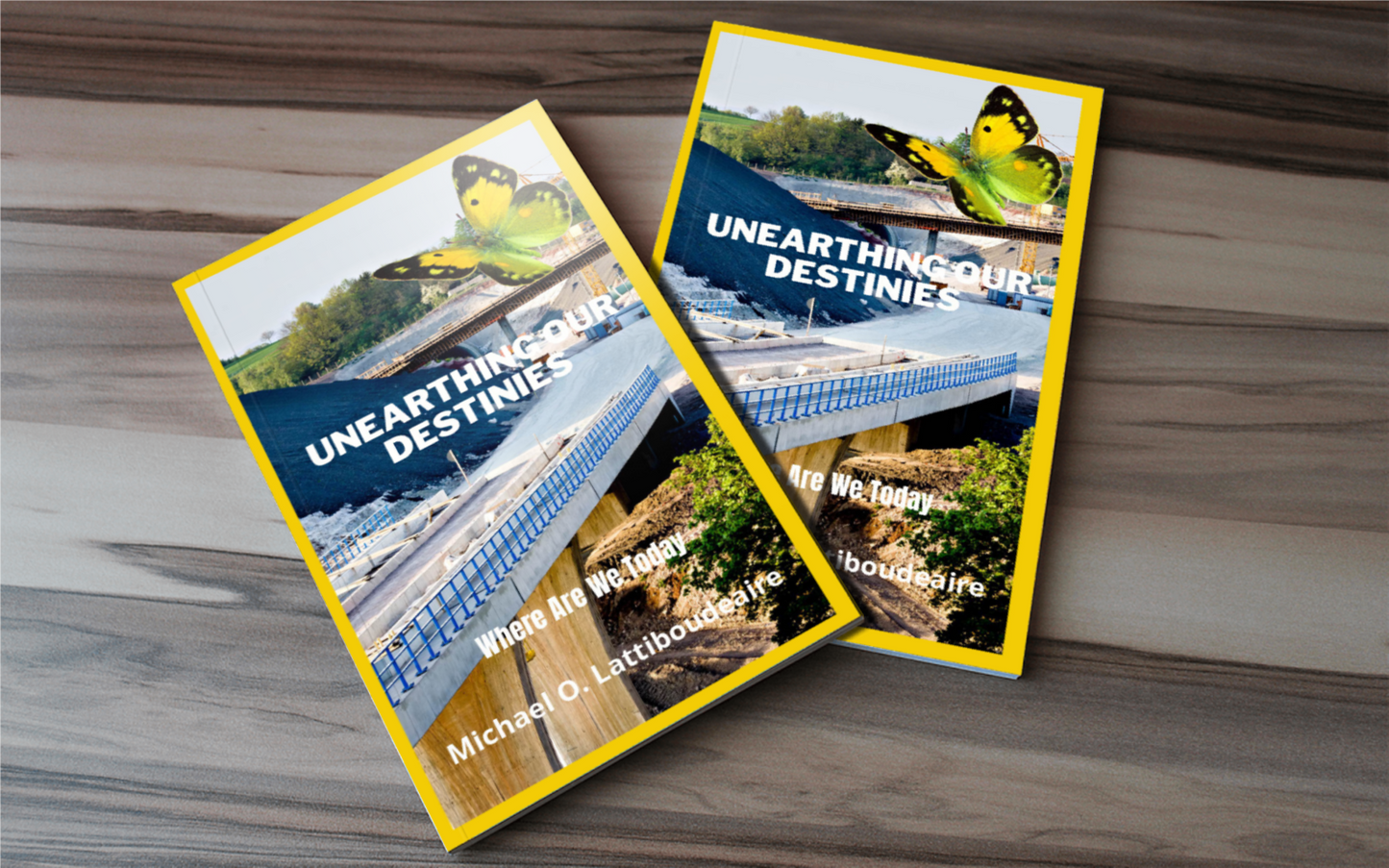 UNEARTHING OUR DESTINIES- BUILDING FOR TOMORROW - BMS MANGOES MARKETPLACE