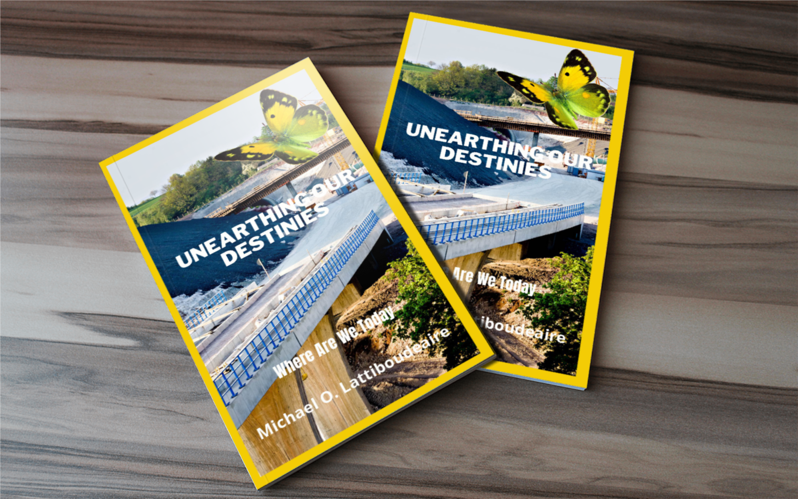 UNEARTHING OUR DESTINIES- BUILDING FOR TOMORROW - BMS MANGOES MARKETPLACE