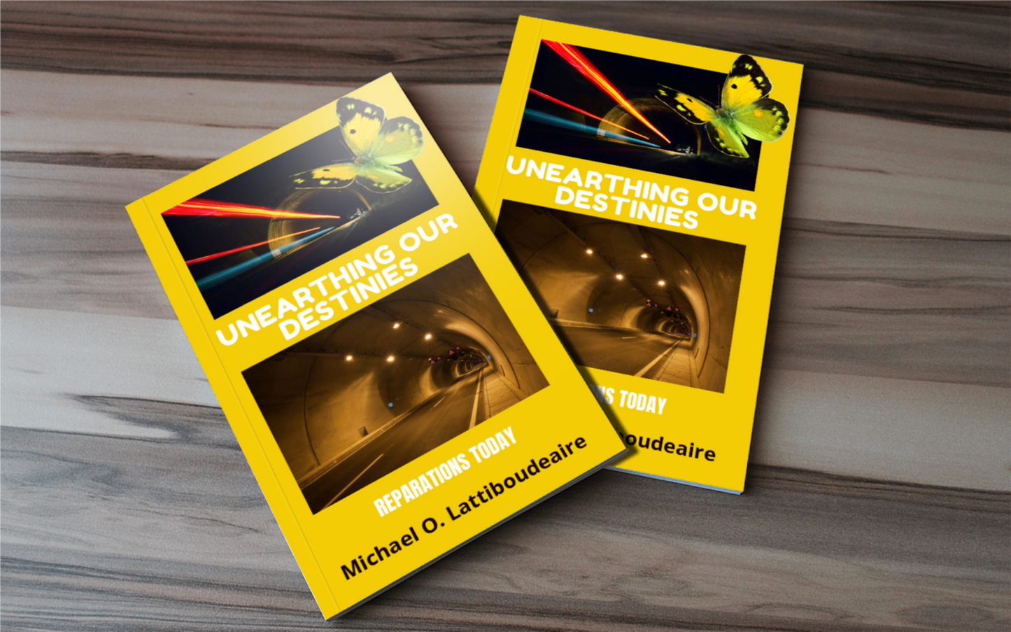 UNEARTHING OUR DESTINIES-ECONOMIC VOGAGE - BMS MANGOES MARKETPLACE