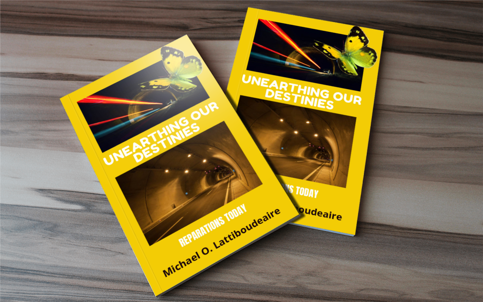 UNEARTHING OUR DESTINIES-ECONOMIC VOGAGE - BMS MANGOES MARKETPLACE