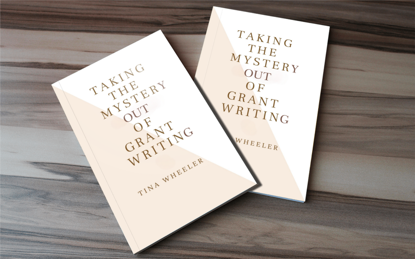 TAKING THE MYSTERY OUT OF GRANTWRITING - BMS MANGOES MARKETPLACE