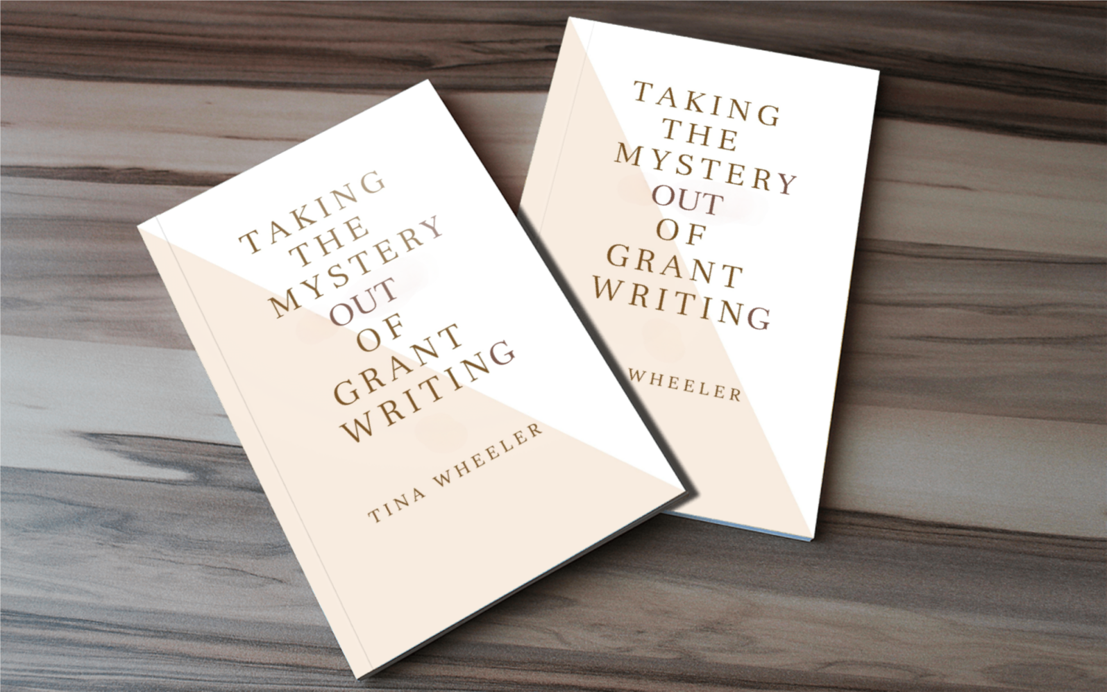 TAKING THE MYSTERY OUT OF GRANTWRITING - BMS MANGOES MARKETPLACE