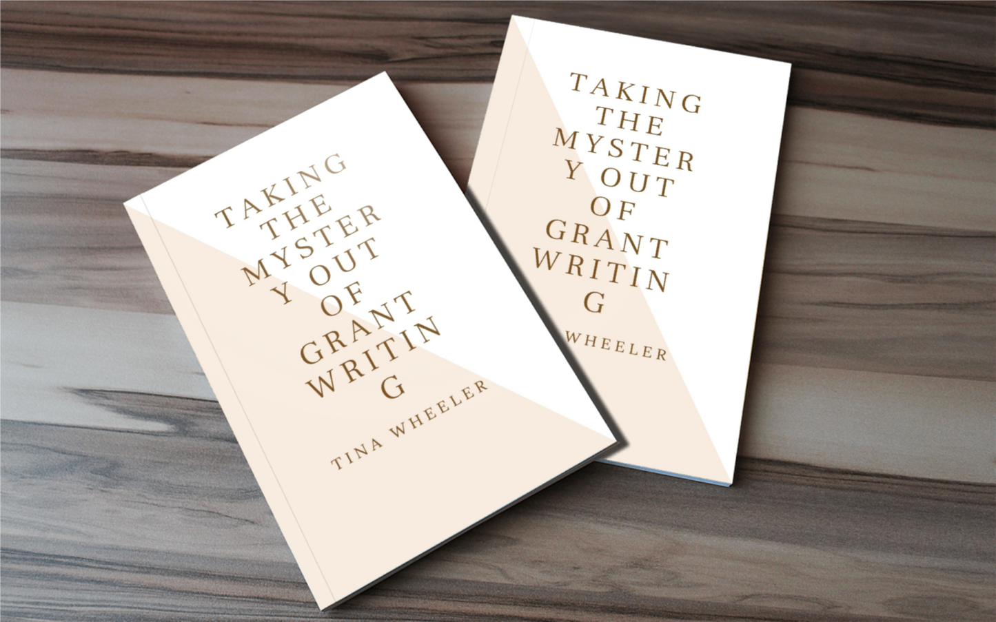 TAKING THE MYSTERY OUT OF GRANTWRITING - BMS MANGOES MARKETPLACE