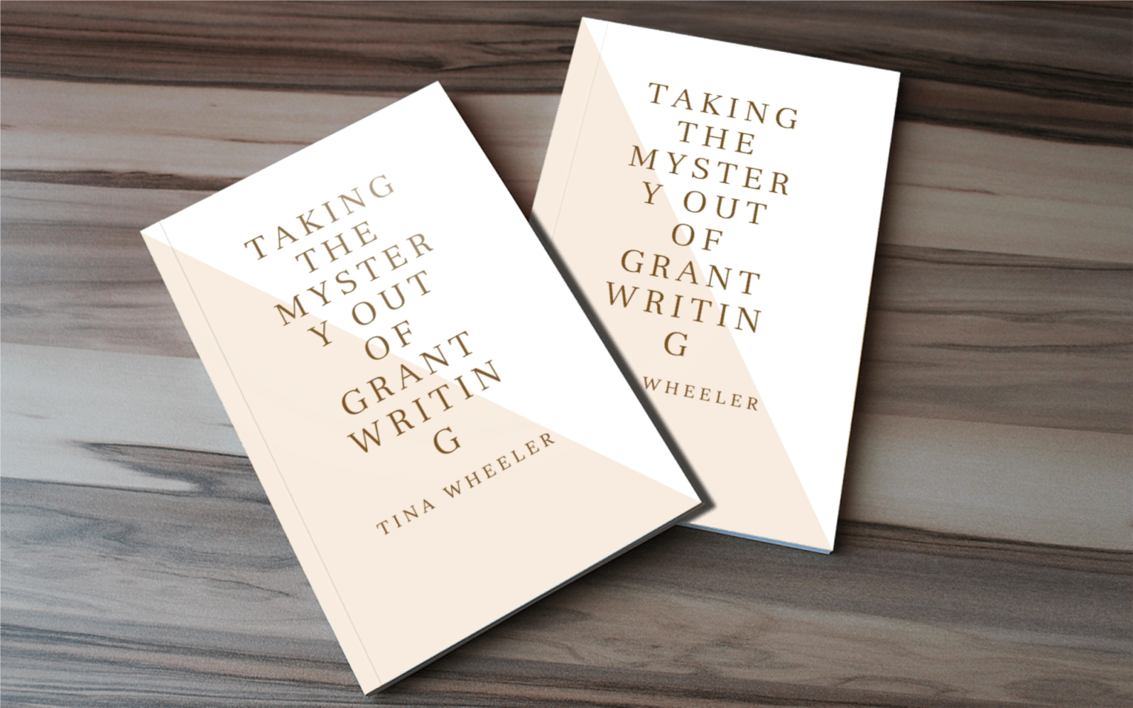 TAKING THE MYSTERY OUT OF GRANTWRITING - BMS MANGOES MARKETPLACE