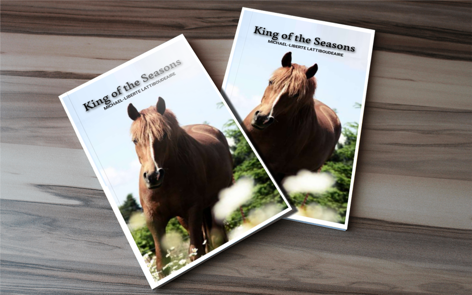 KINGS OF THE SEASONS - BMS MANGOES MARKETPLACE